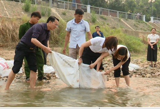 anh tin bai